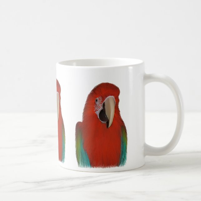 La tasse de perroquet (Droite)