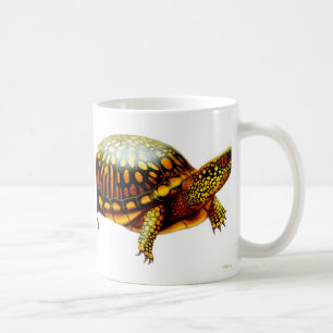 La tasse de tortue de boîte