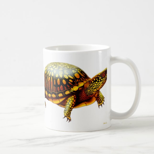 La tasse de tortue de boîte (Droite)
