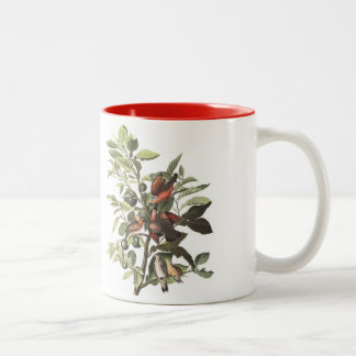 La tasse d'oiseau d'Audubon, la terre a plongé, 15