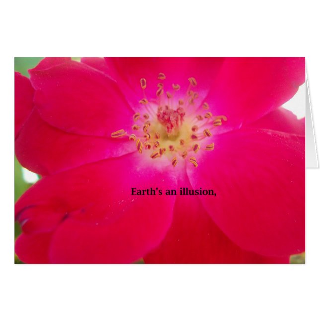 La Terre est une illusion (Devant horizontal)