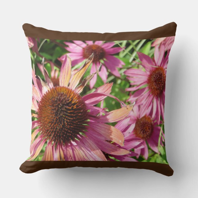 La "terre rit dans le coussin d'intérieur de (Recto)