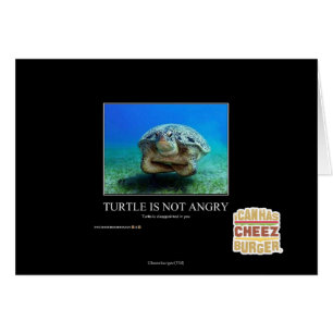 La tortue n'est pas en colère