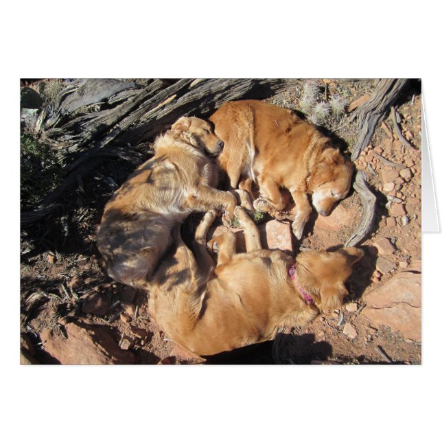 La triangle d'or (Devant horizontal)