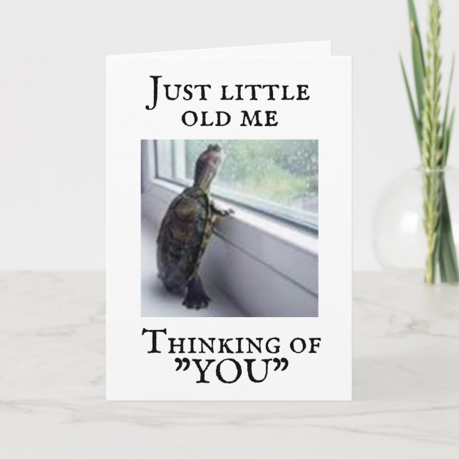 **LA TURTLE VOUS MANQUE** CARTE (Devant)