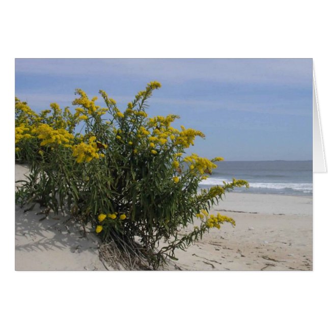 La verge d'or au bord de la mer (Devant horizontal)