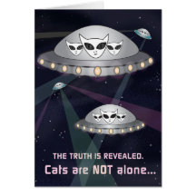 La vérité est révélée : les chats ne sont pas seul