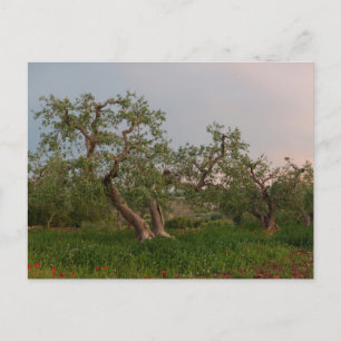La verrière au coucher du soleil carte postale