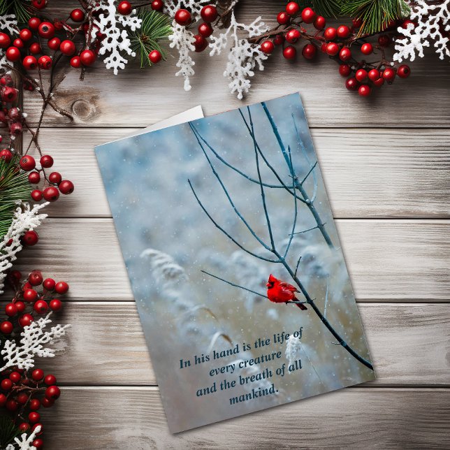 La vie de chaque créature Carte de Noël chrétienne (Créateur téléchargé)