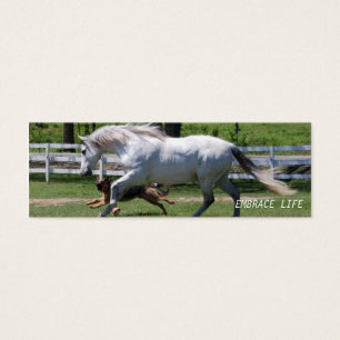 LA VIE D'ÉTREINTE DE CHEVAL ET DE CHIEN