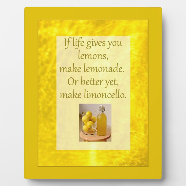 La Vie Donne Des Citrons...Fabriquer Une Plaque Ph (Devant)