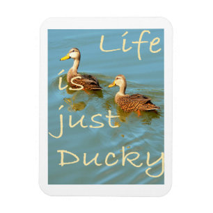 La vie est juste Ducky Mottled Ducks Magnet
