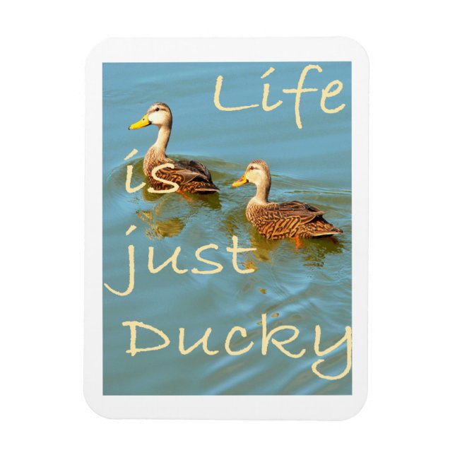 La vie est juste Ducky Mottled Ducks Magnet (Vertical)