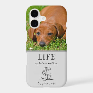 La vie est meilleure avec un chien sur vos genoux