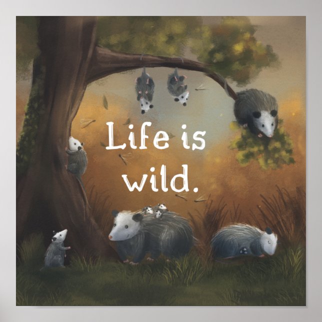 La vie est sauvage Opossum Opposites Poster (Devant)