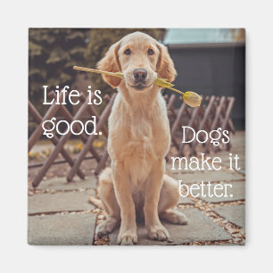La vie est un bon chien aimant