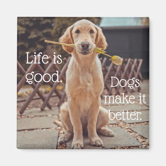 La vie est un bon chien aimant (Devant)