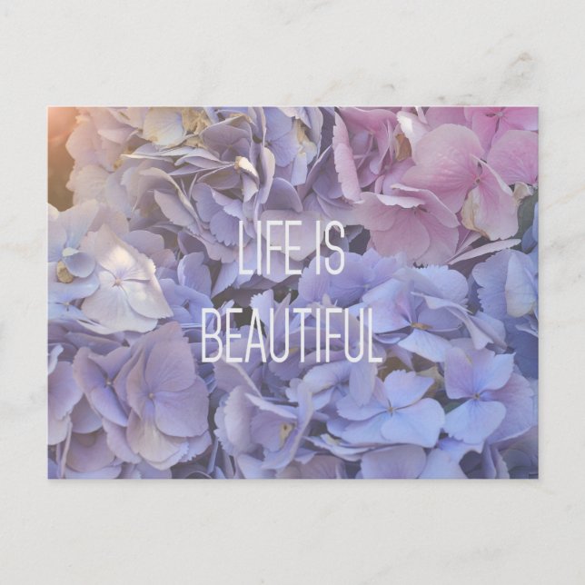 La Vie Est Une Belle Carte Postale Hydrangea (Devant)
