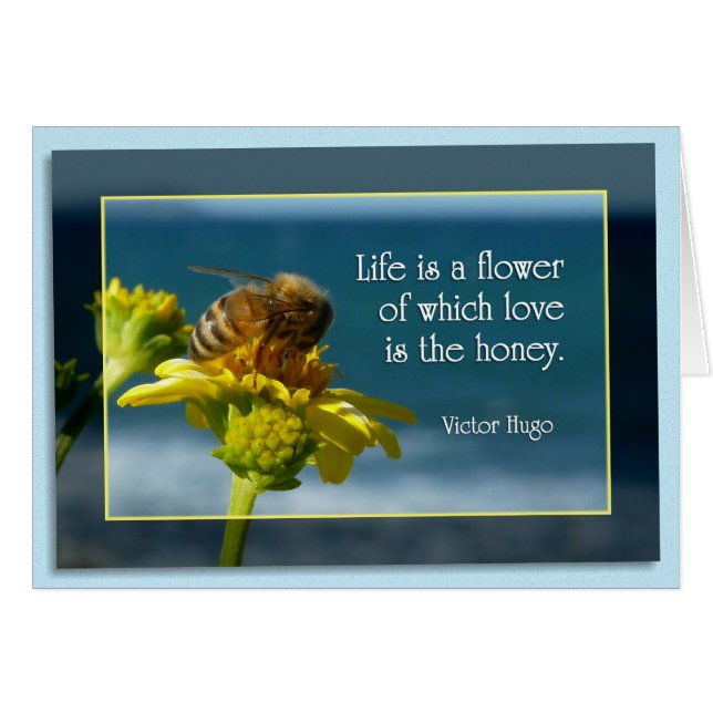La vie est une fleur (Devant horizontal)