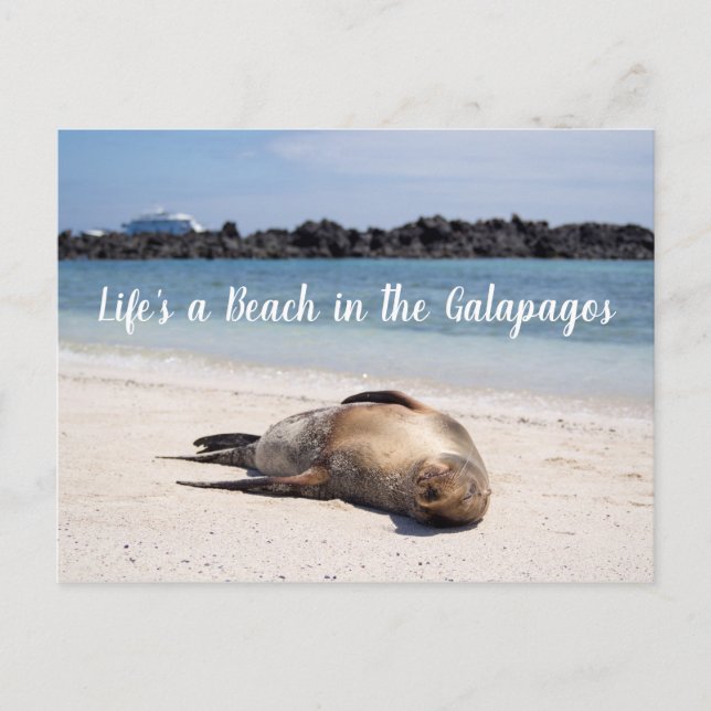 La vie est une plage dans la carte postale des Gal (Devant)