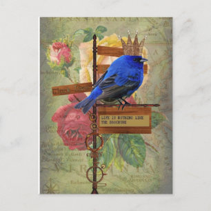 La vie n'est pas comme la carte postale