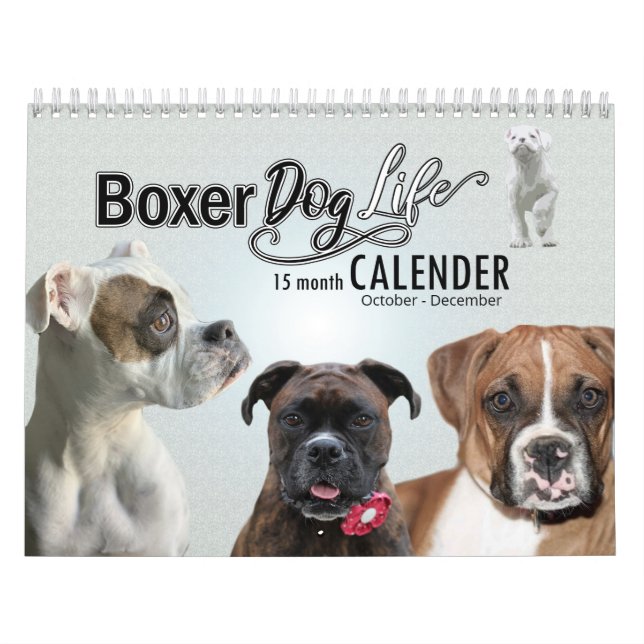 La vie officielle des chiens de boxe - Calendrier  (Protection)