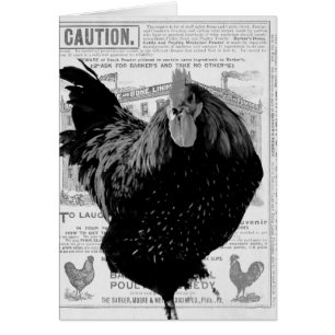 La volaille spéciale de Baker