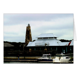 La vue du port de tête chauve