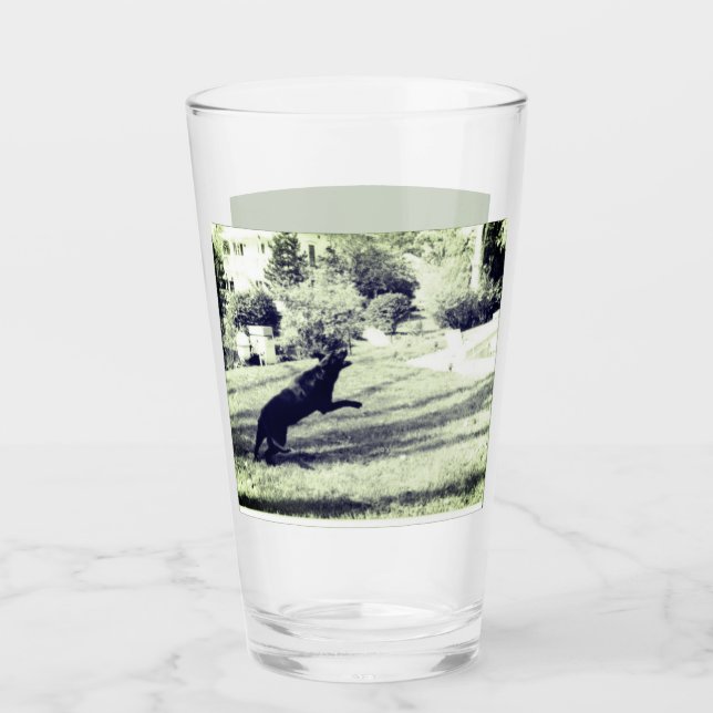 Lab catching a frisbee Beer Glass (Front)