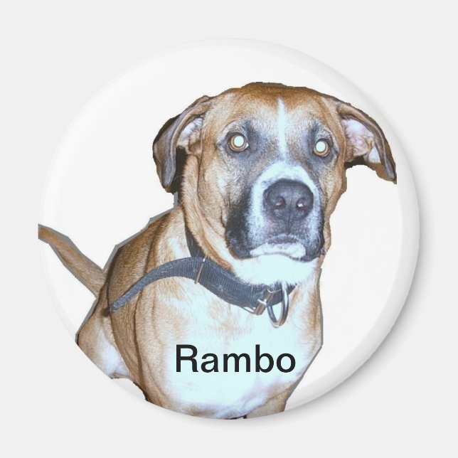 Lab Dog magnet (Front)
