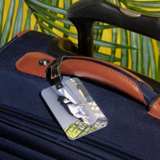 lab group sleeping luggage tag (Front Insitu 1)