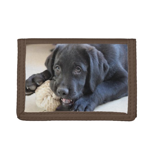 Lab Labrador Retriever Eyes Face Puppy Pet Tri-fold Wallet