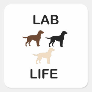lab life all colours silhouettes square sticker