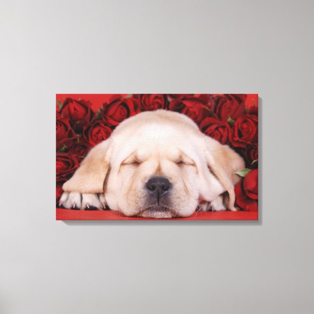 Lab love canvas print (Front)