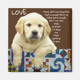 "LAB LOVE" MAGNET