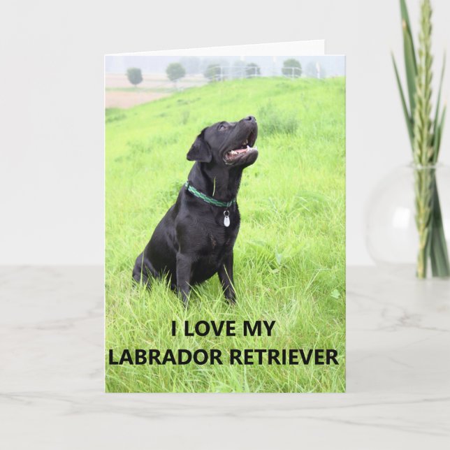 lab love w pic card (Front)