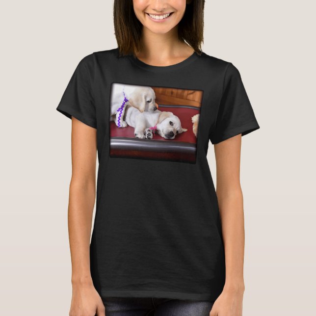 Lab Puppy Looking Down On Brother T-Shirt (Front)