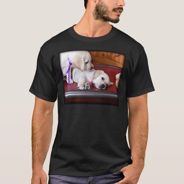 Lab Puppy Looking Down On Brother T-Shirt (Front)