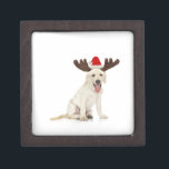 Lab Puppy Wearing Antlers Gift Box<br><div class="desc">ImageID: 42-17499498 / Lew Robertson / Corbis / Lab Puppy Wearing Antlers /</div>