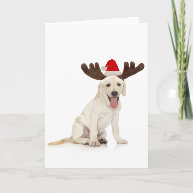 Lab Puppy Wearing Antlers Holiday Card (Front)