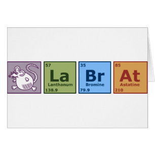 Lab Rat
