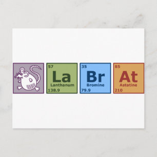 Lab Rat Postcard