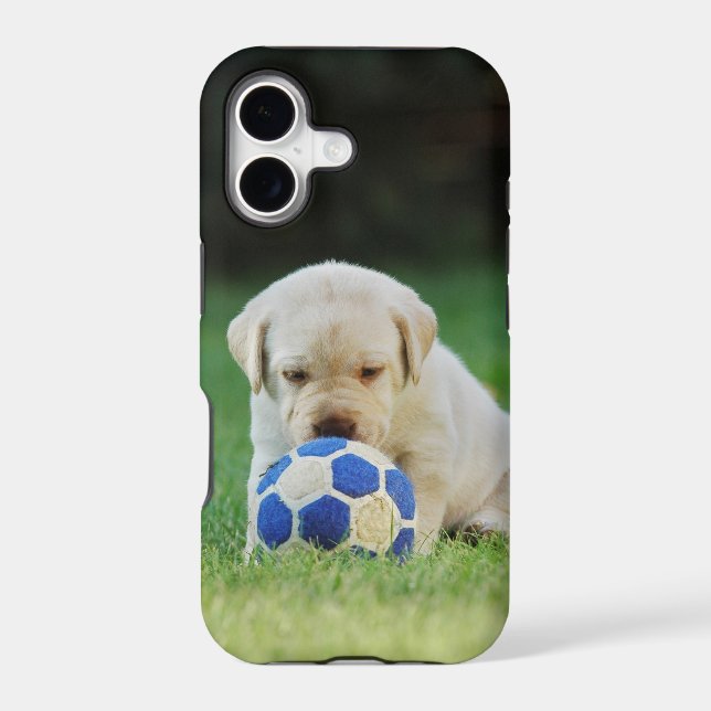 Lab soccer player (Back)