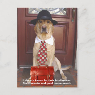 Lab Traits - Fine Character Postcard