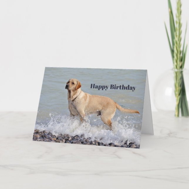 Lab Yellow Dog Water Photo Birthday Card (Front)