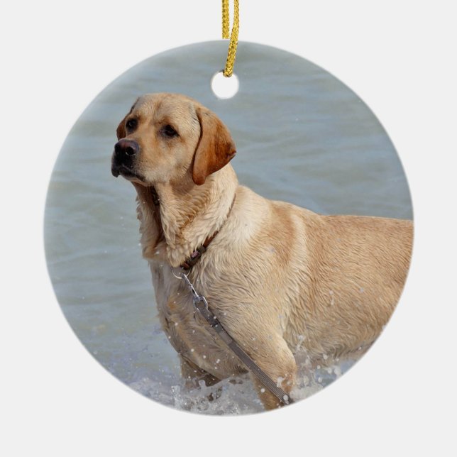 Lab Yellow Dog Water Photo Ceramic Ornament (Front)