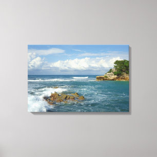 Labadie Seascape Canvas Print