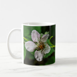 L'abeille du miel pollinise une Mug de Fleur de Bl