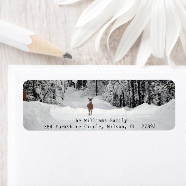 Label d'adresse de retour de photo Paysage hiverna (En situation)