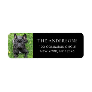 Label d'adresse de retour de photo pour chien de f